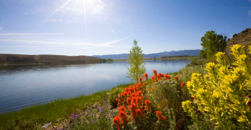 Discover the Desert Lake Between California and Nevada That Has It All: Camping, Casino, and Views