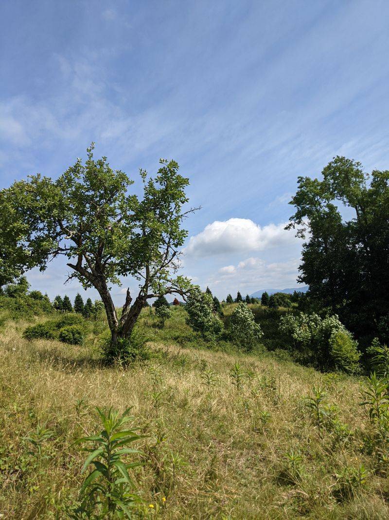 Best Seasons: Spring and Autumn