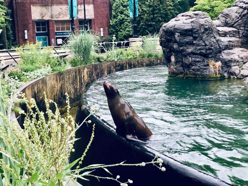 Prospect Park Zoo – Brooklyn
