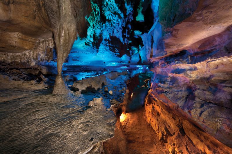 A Hidden World Beneath the Surface