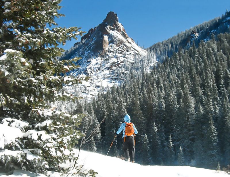 Go Hiking, Snowshoeing or Nature-Watching in the Surrounding Mountains