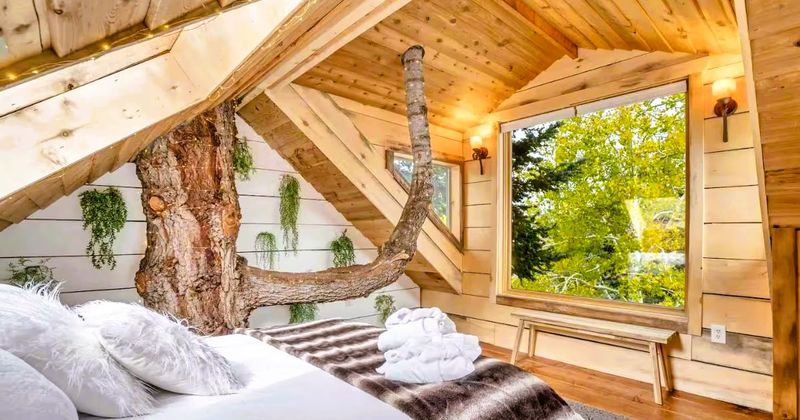 Tiny Town, Big Character