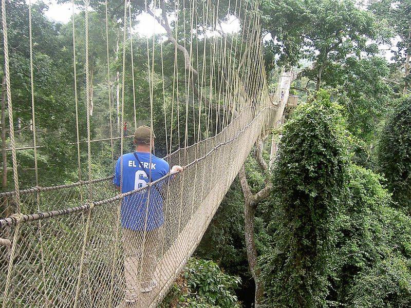 Canopy Walk (Ghana)