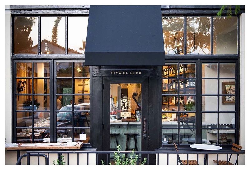 Wolf in the Woods – San Diego