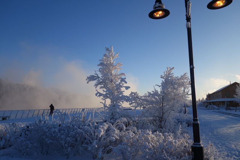 Yukon River Lowlands