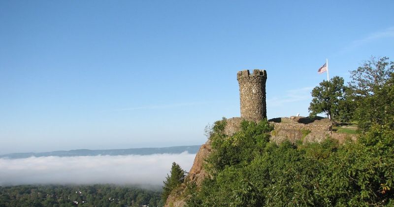 Great for Birdwatching and Wildlife