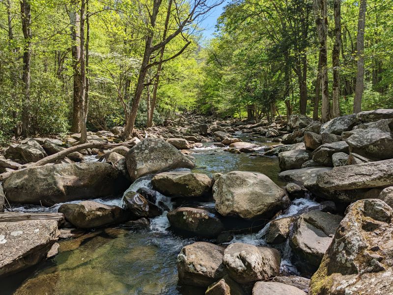 Respecting Wildlife And The Space