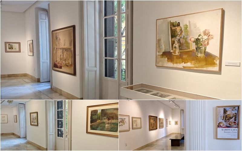 Discover the Ramón Gaya Museum