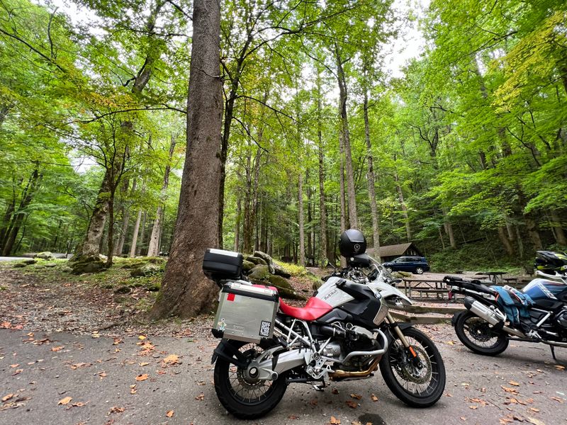 Restrooms And Handy Basics