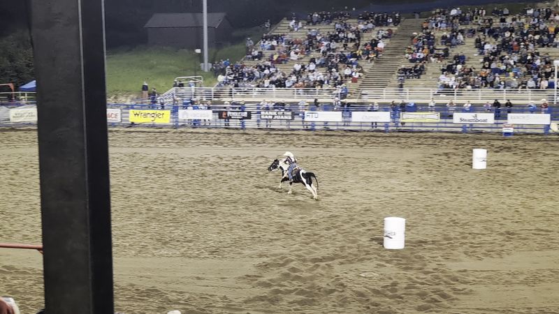 Steamboat Pro Rodeo Series