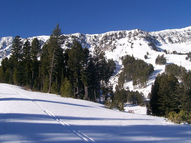 Winter & Year-Round Outdoor Fun