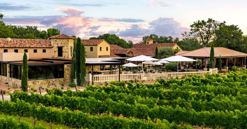 Grape Creek Vineyards, Fredericksburg, Texas