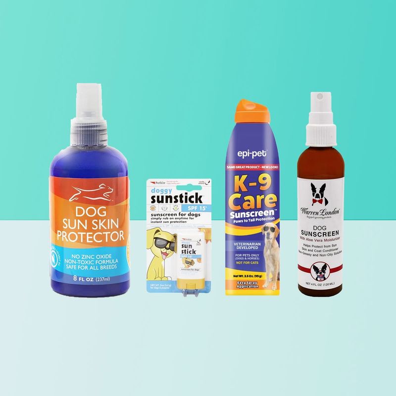 Sun protection for light or thin-coated dogs