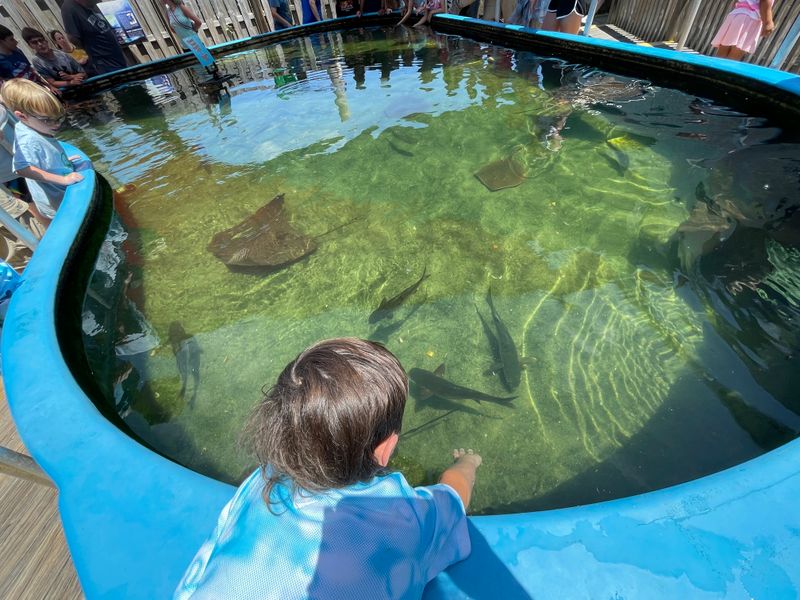 Dauphin Island Sea Lab Estuarium