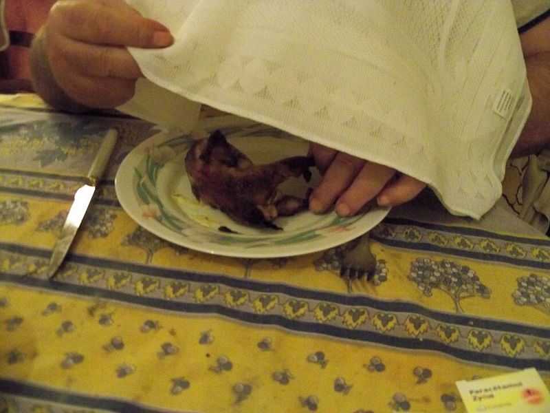 Ortolan Bunting (France)