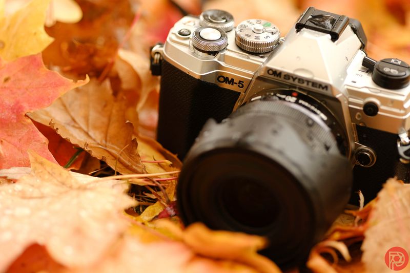 OM System OM-5 – Tiny, IP53-sealed, and made for bad weather