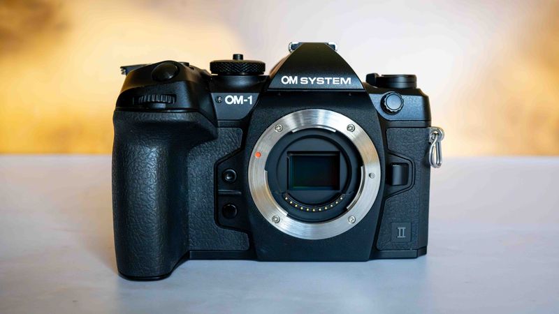 OM System OM-1 Mark II (Micro Four Thirds, travel-tough)