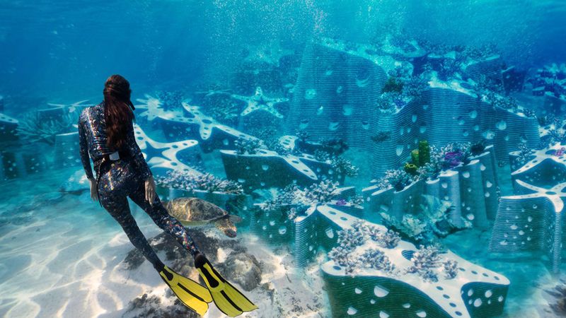 What you'll likely see