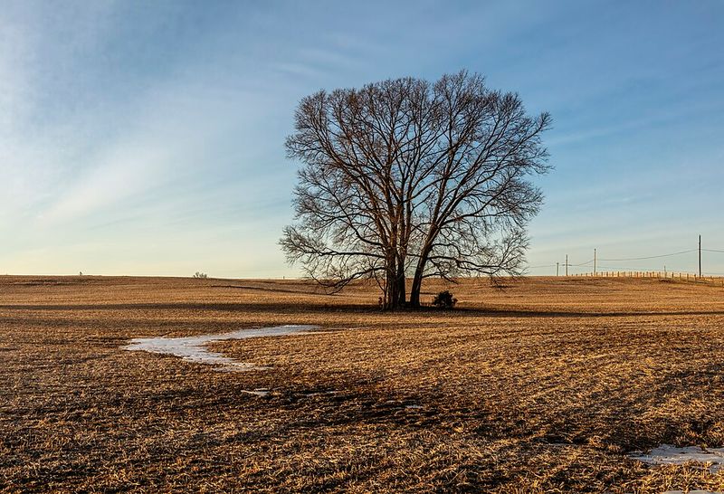 Antietam National Battlefield / Miller’s Cornfield (Maryland)
