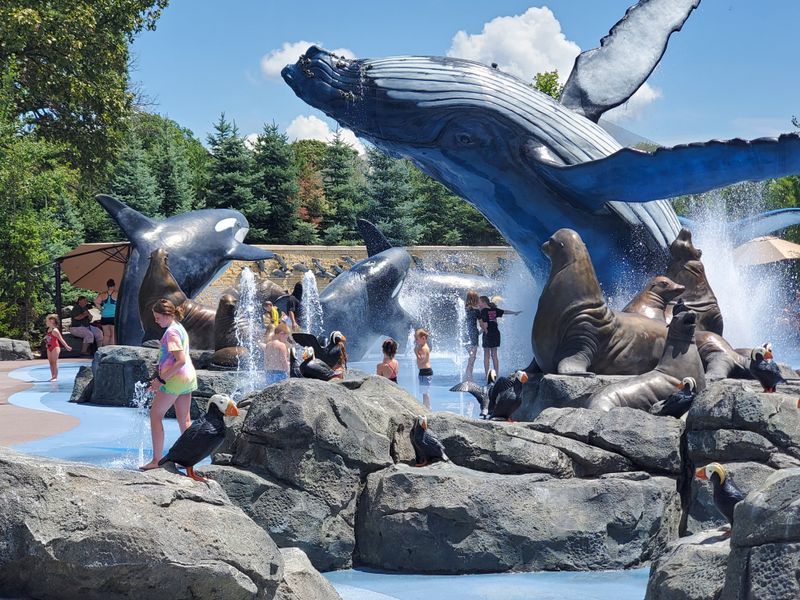 Sea Otter and Seal Playtime