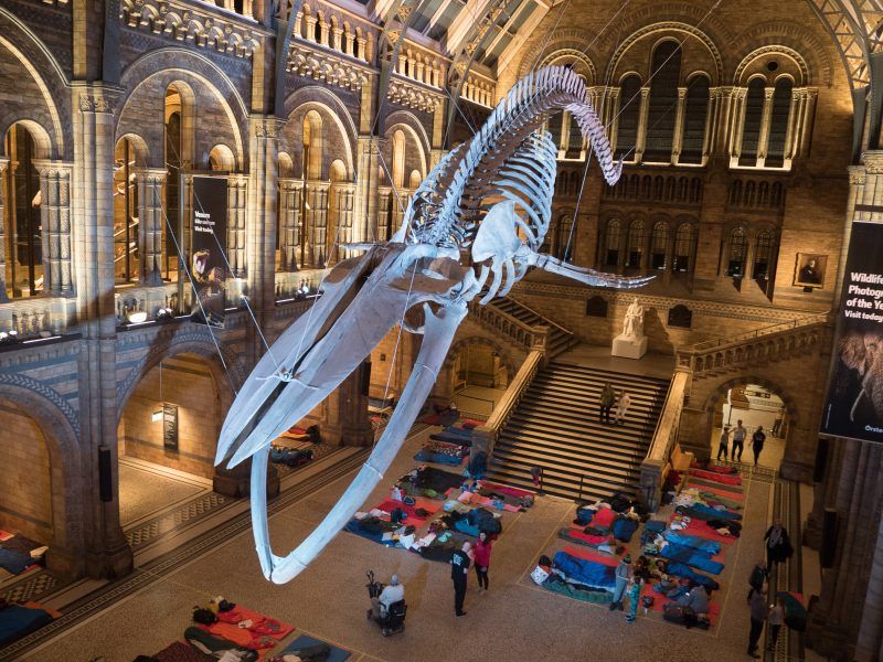 Must-do freebie: Natural History Museum
