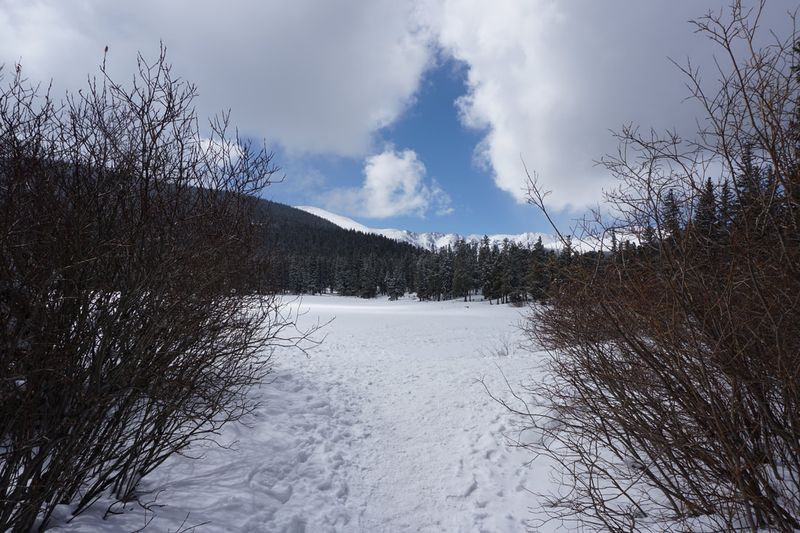 Snowshoe Echo Lake & Chicago Lakes Trailheads