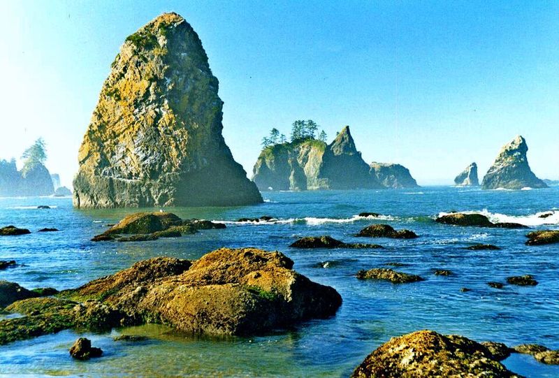Olympic National Park, Washington