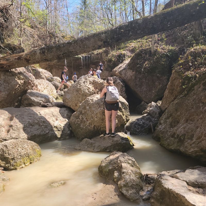 Tunica Hills Wildlife Management Area