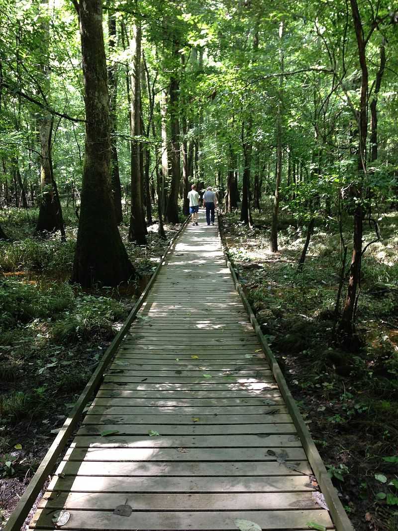 Congaree National Park, South Carolina