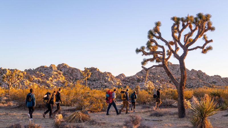 Joshua Tree National Park, California 