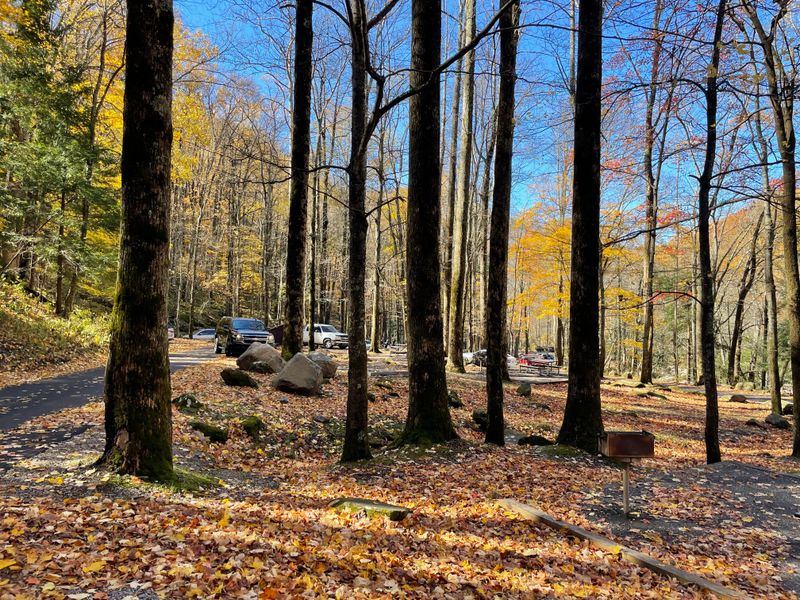 Finding Parking Without Stress