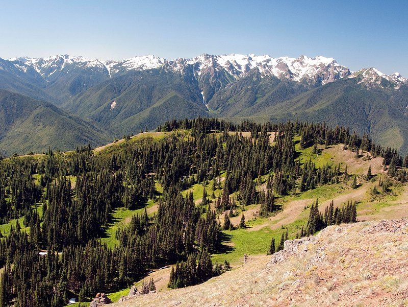 Wildlife Sightings Are Common