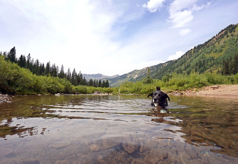 Four Pass Loop, Maroon Bells-Snowmass Wilderness, CO