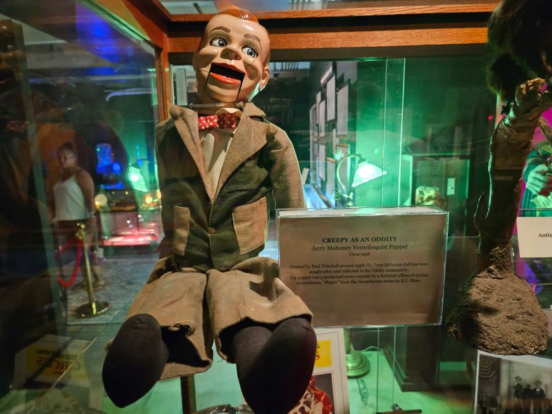 Infinity Skull Art Installation