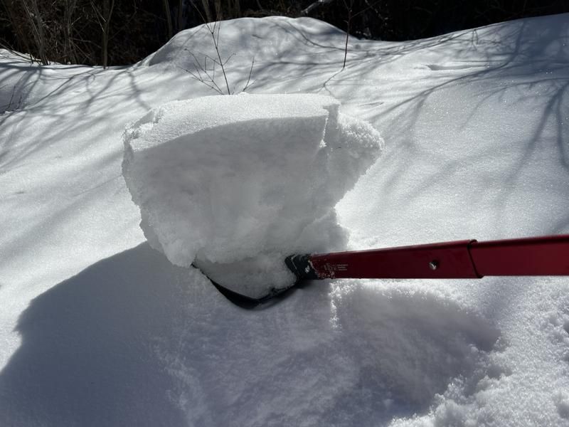Compact Snow Shovel