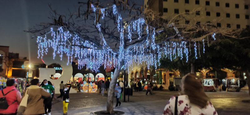 Day To Day Shopping Essentials