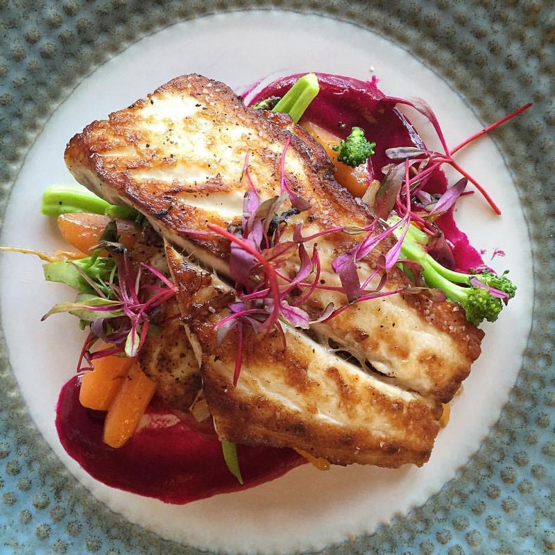 Golden Tilefish Feature