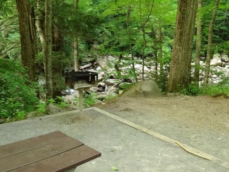 Creekside Tables With A View