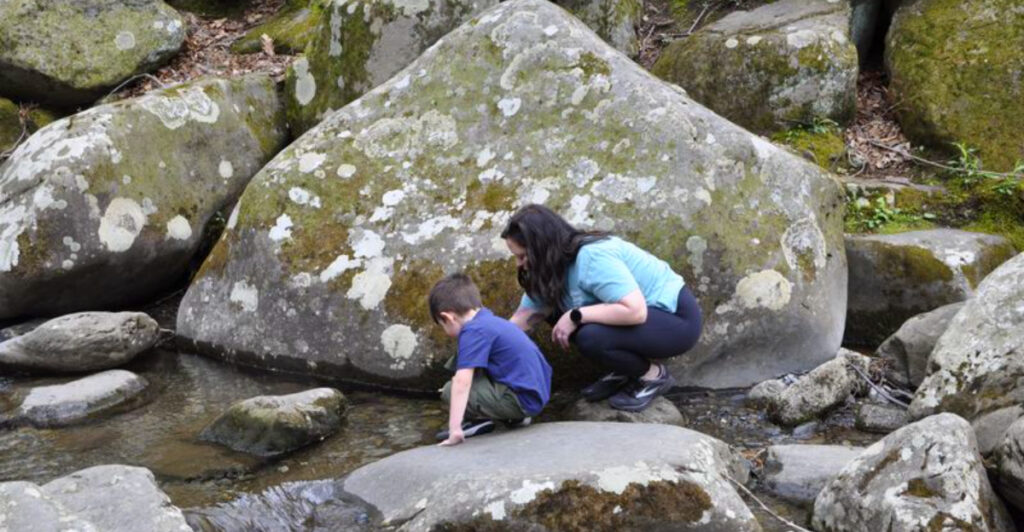 Hidden Among the Smokies: A Picnic Area Locals Love for Creekside Relaxation