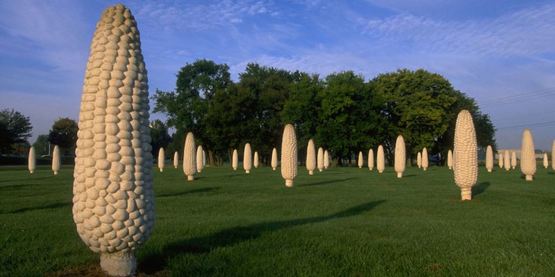 Where Farmland Met Suburbia