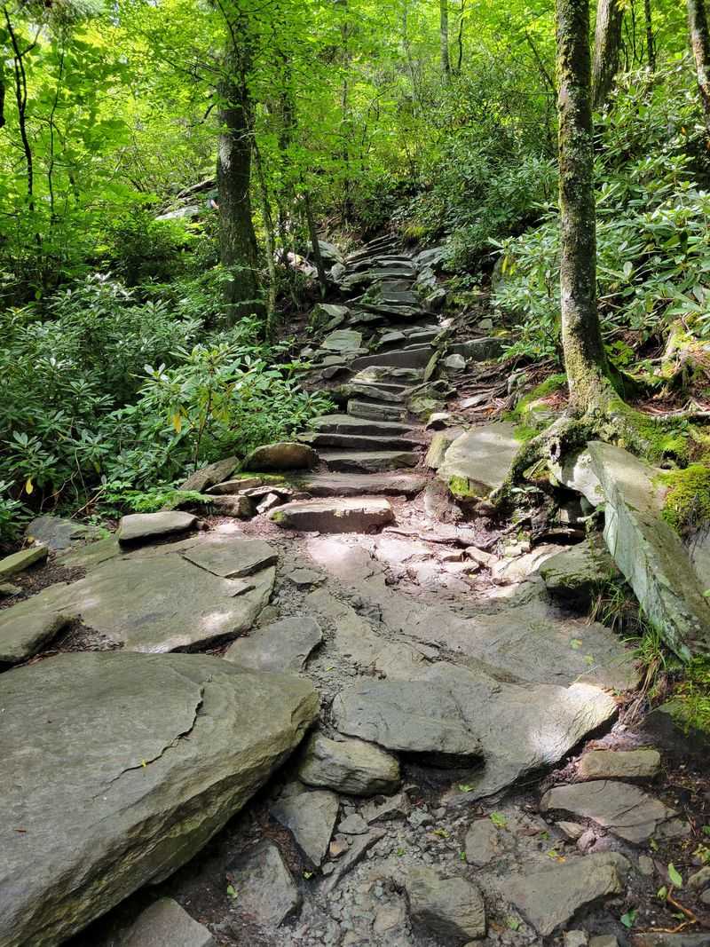 It’s Part of the Mountains-to-Sea Trail