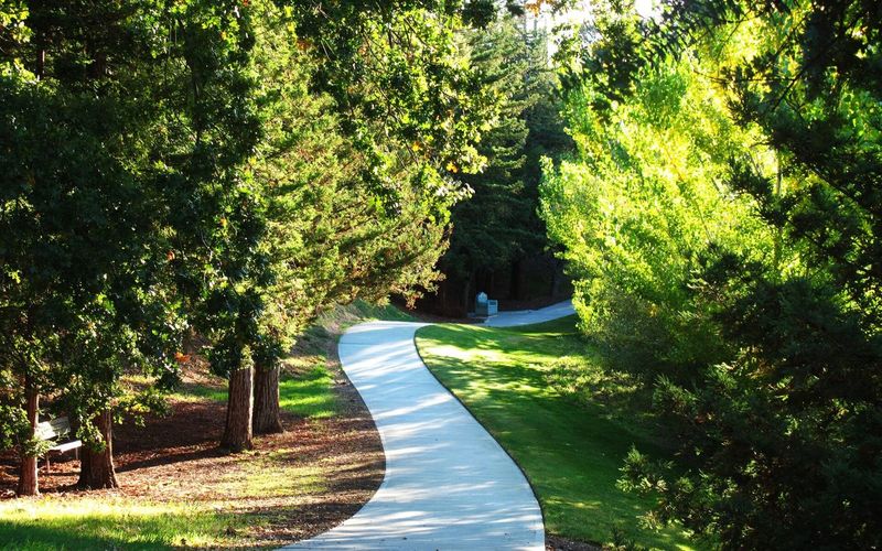 Outdoor & Park Spaces