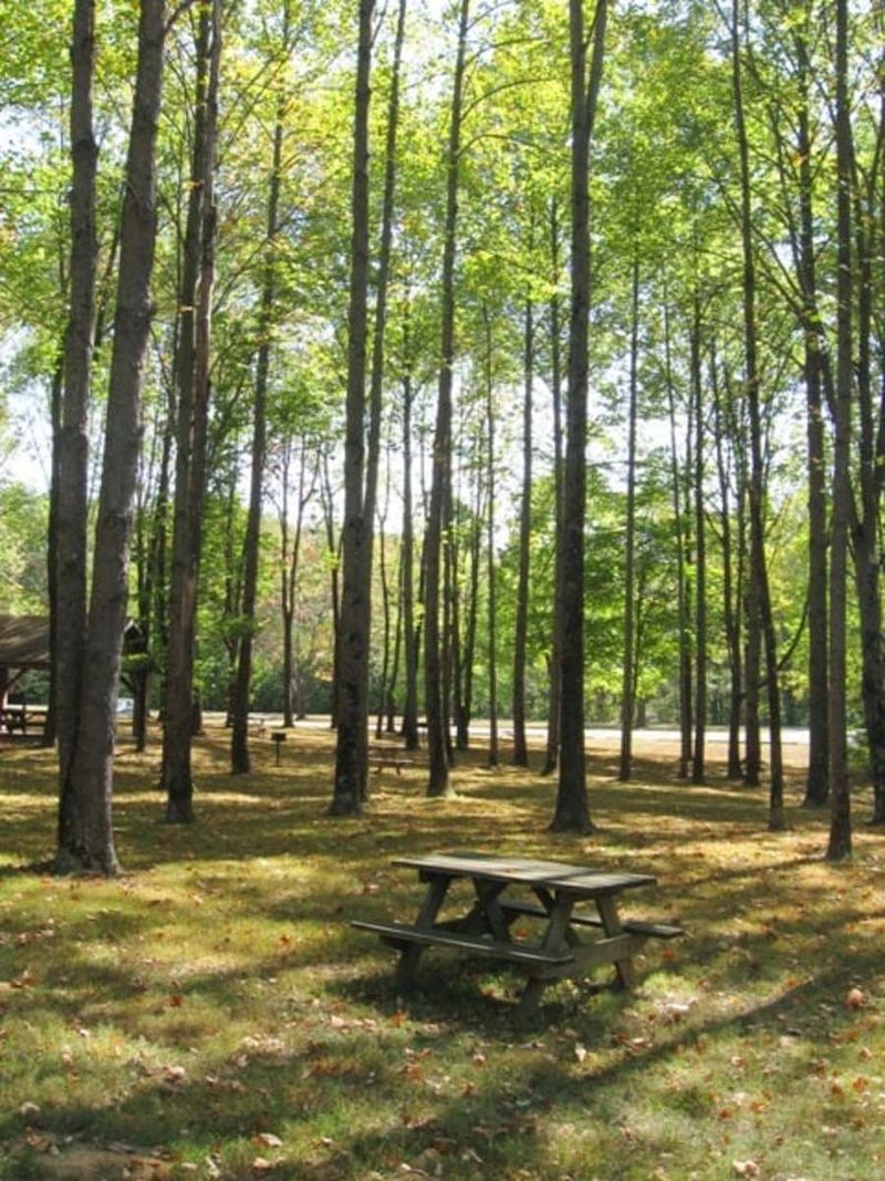 Nearby Nature and Parks