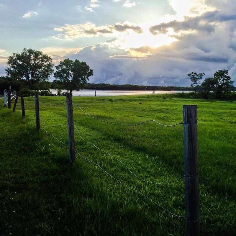 Relaxing Nature and Wildlife Viewing