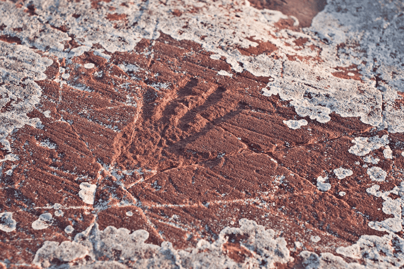 Jeffers Petroglyphs — near Comfrey