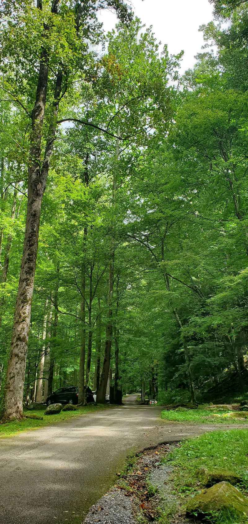 Logistics: Getting There And Info