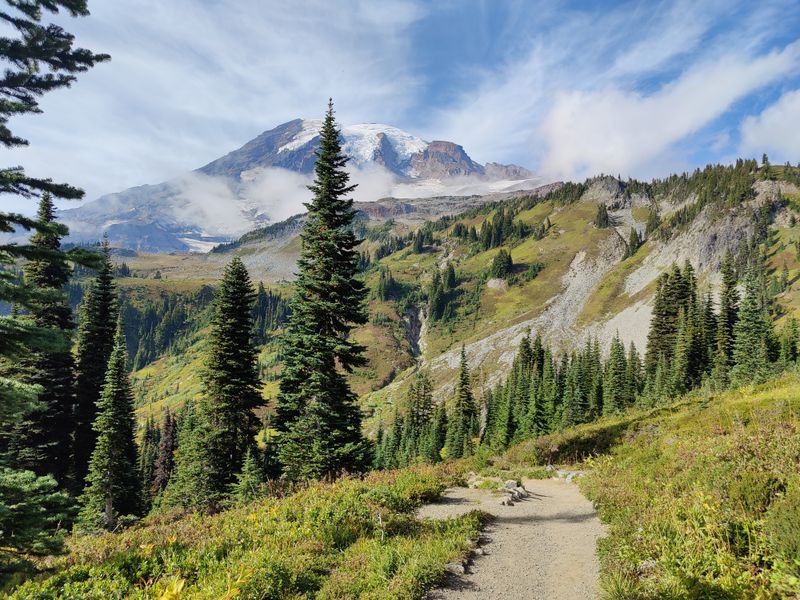 What maps and guides will show