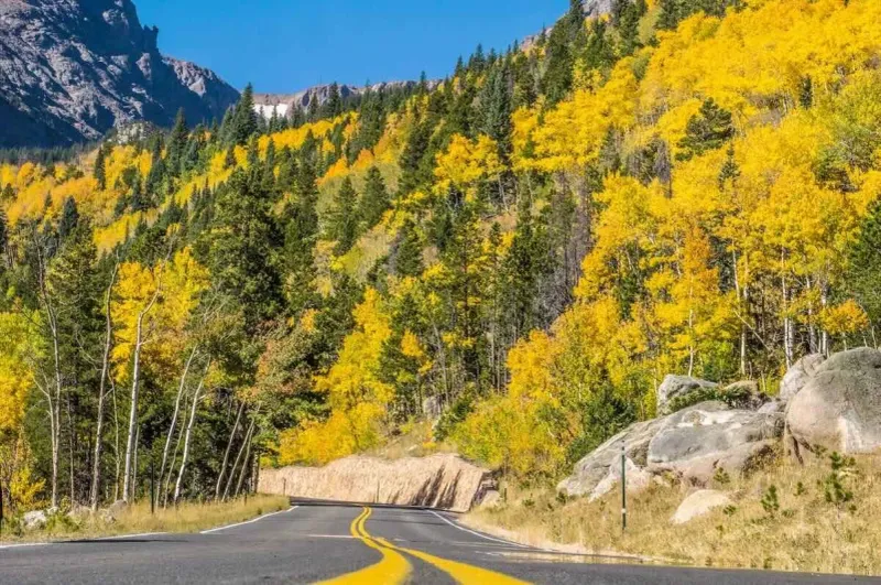 All-Season Outdoor Activity