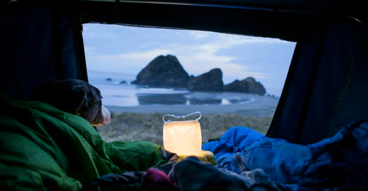 I Tried the Internet’s Favorite Camping Gadgets – Here’s What’s Actually Worth Buying