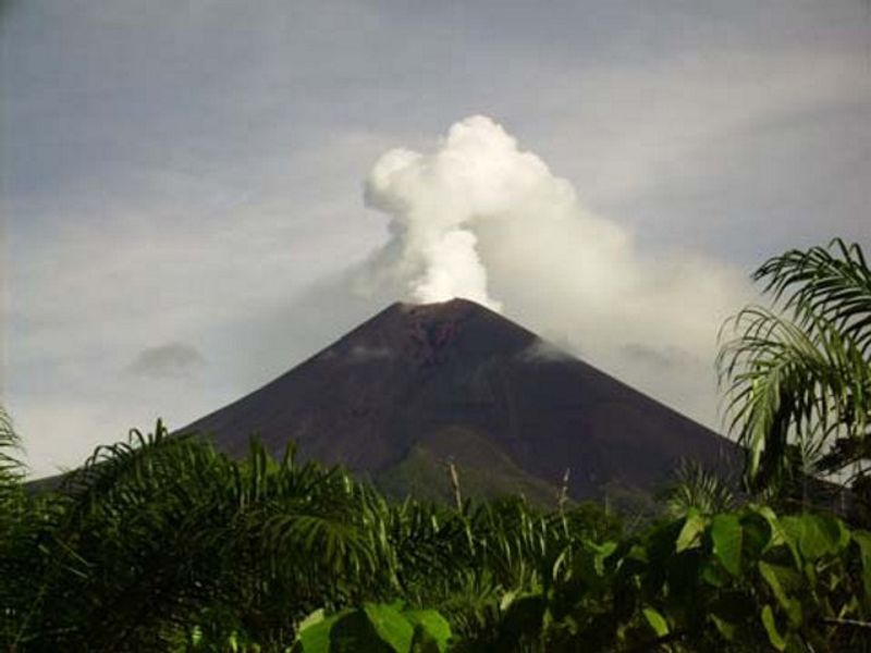 Papua New Guinea
